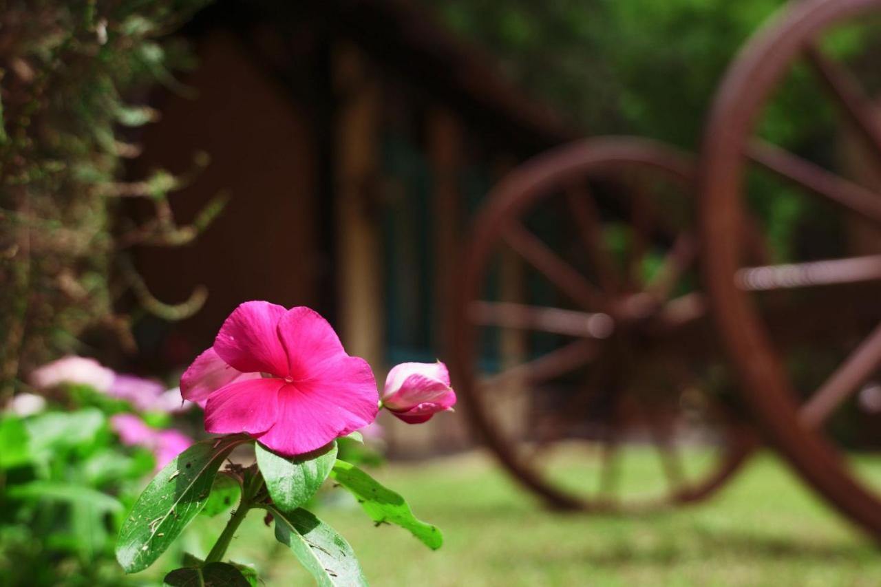 Guest house Sitio Urbano A Apenas 1,5 Km Do Centro Blumenau